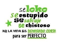 Haga click para ver la imagen ampliada se loko se estupido se salvaje pk la vida es demasiado corta para ser perfecto.jpg
